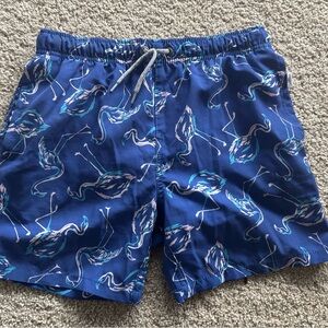 Kids Flamingo Print Swim Trunks